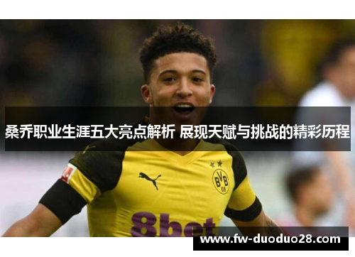 桑乔职业生涯五大亮点解析 展现天赋与挑战的精彩历程