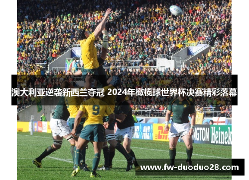 澳大利亚逆袭新西兰夺冠 2024年橄榄球世界杯决赛精彩落幕 澳大利亚逆袭新西兰夺冠 2024年橄榄球世界杯决赛精彩落幕