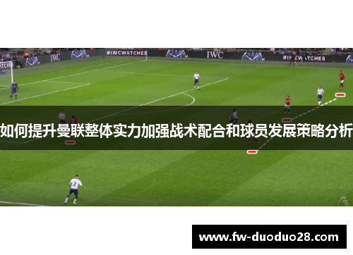 如何提升曼联整体实力加强战术配合和球员发展策略分析 如何提升曼联整体实力加强战术配合和球员发展策略分析